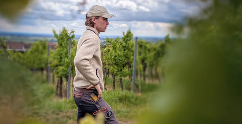 Ein Blick in den Weinberg | Juli 2026