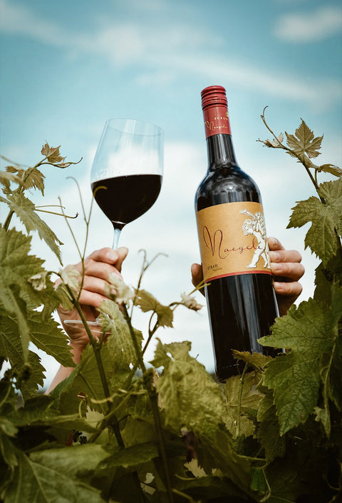 2023 Syrah trocken