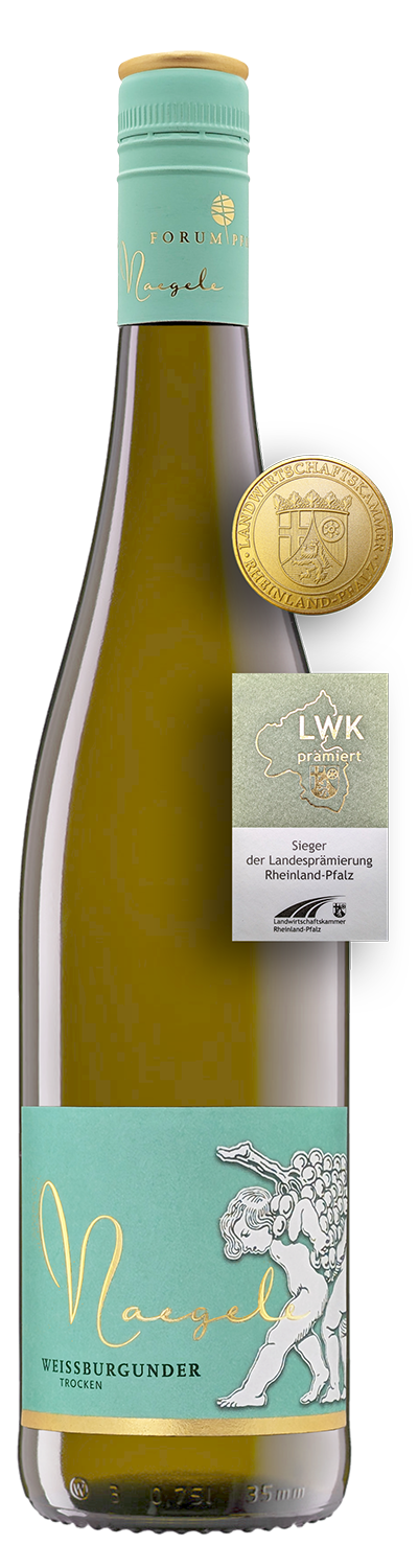 2024 Weißburgunder trocken