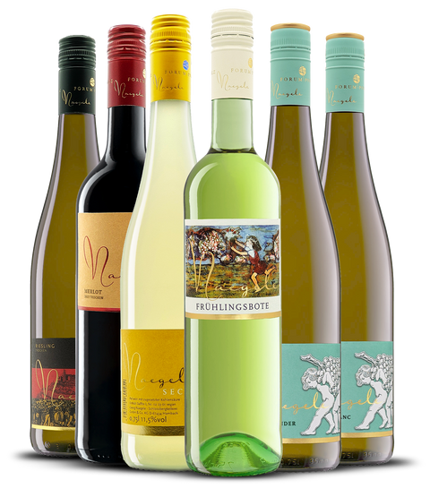 Paket Frühling & Friends