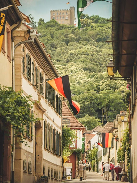 Individuelle Weinprobe mit Kellerführung