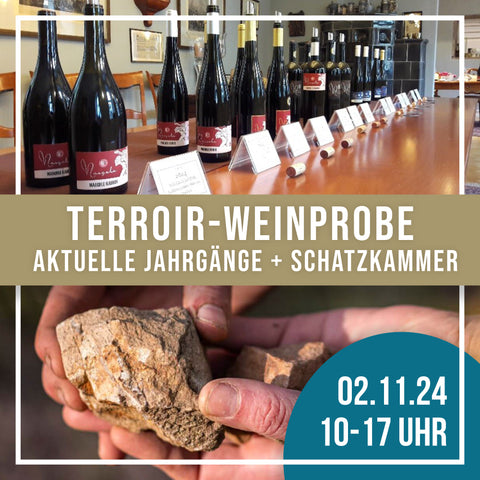 Terroir-Weinprobe