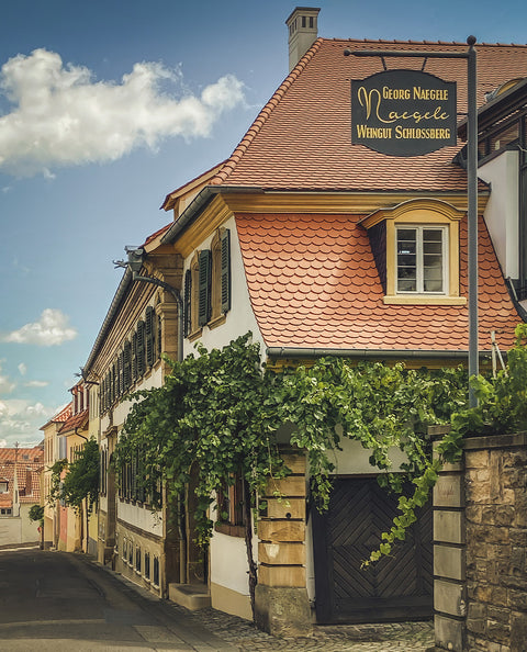 Individuelle Weinprobe mit Kellerführung