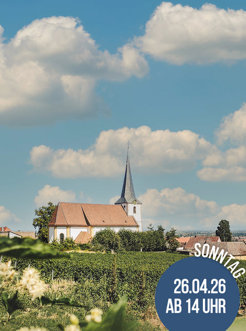 Hambacher Weinberg-Wanderung mit Weinprobe 2026