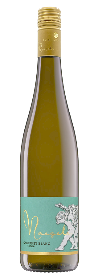 2023 Cabernet Blanc trocken<br>          Qualitätswein Pfalz